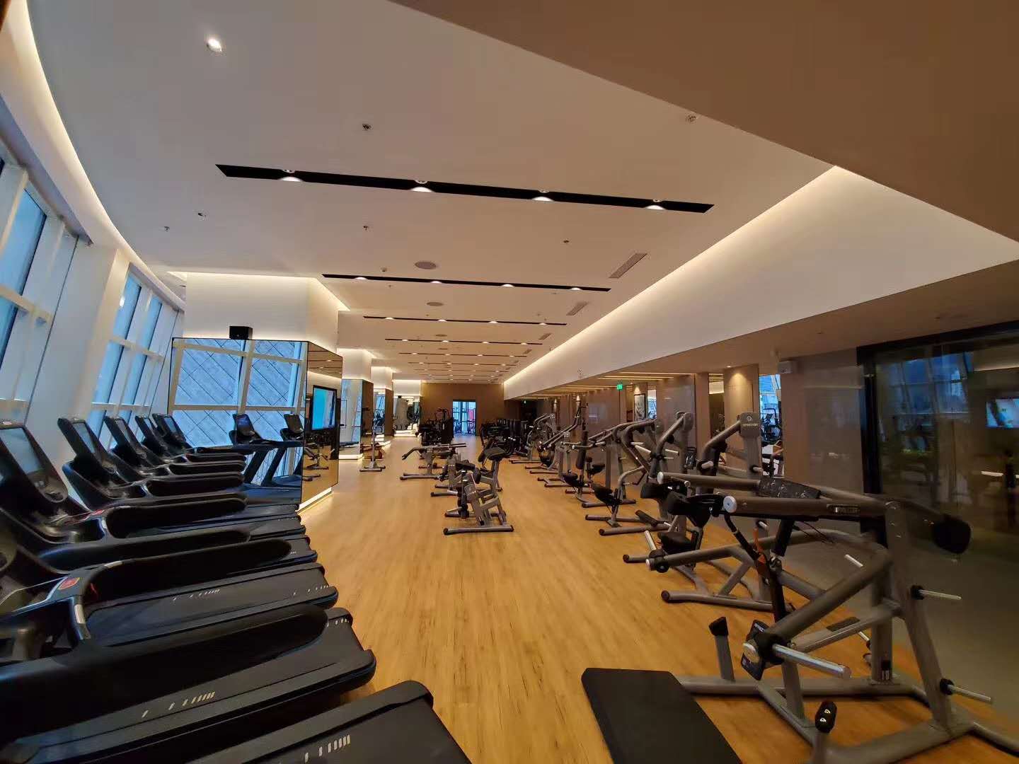 ���������z�ذ尲�bЧ��3